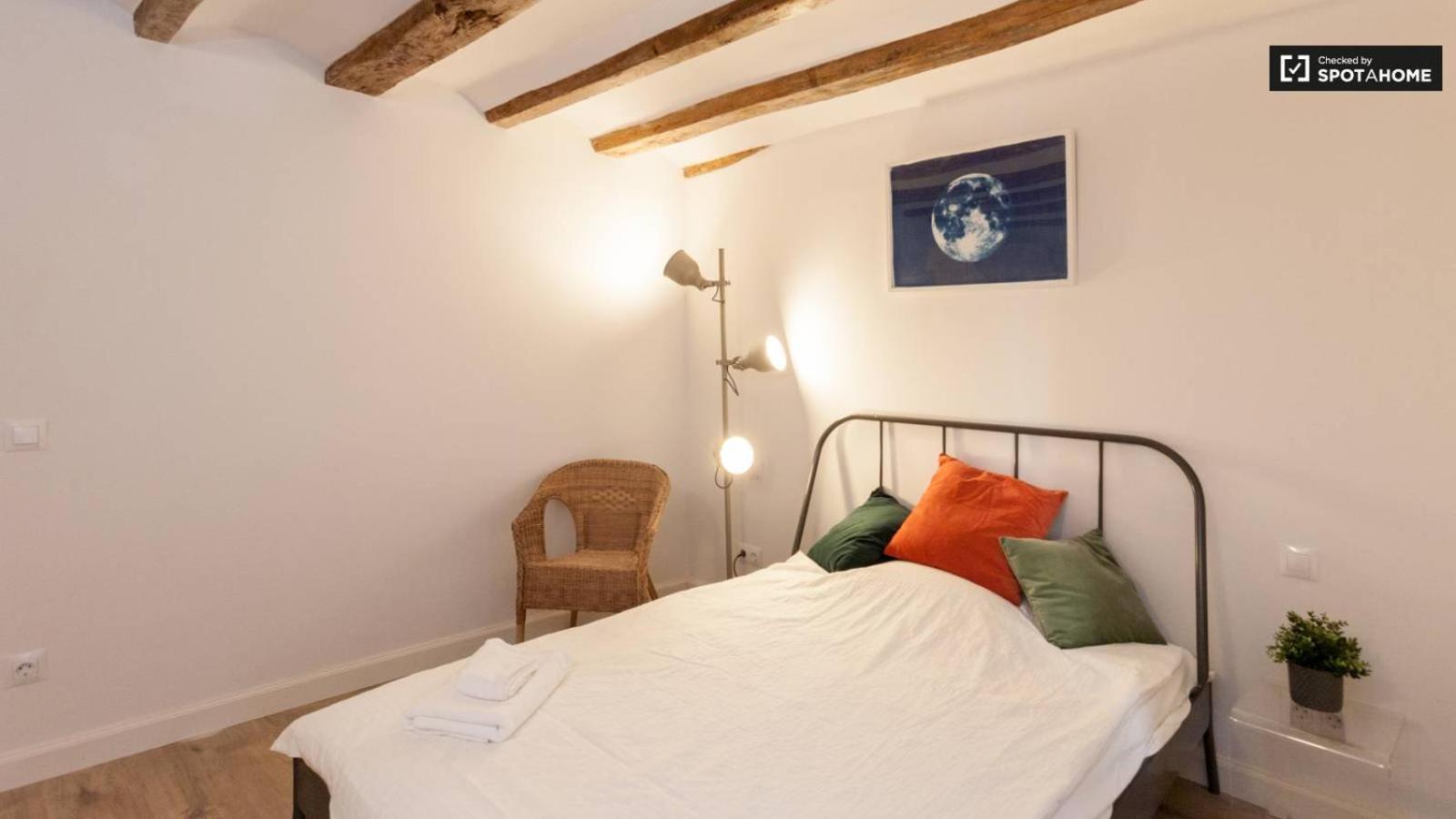 Apartment Ramblas Chic - 03